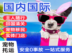常德桃花源空运地址国际宠物托运 【国